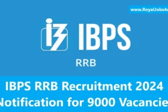 IBPS RRB Recruitment 2024: Notification for 9000 Vacancies