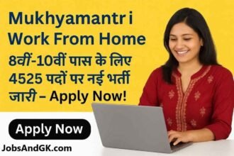 Mukhyamantri Work From Home 2025