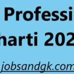 BOB Professional Bharti 2025