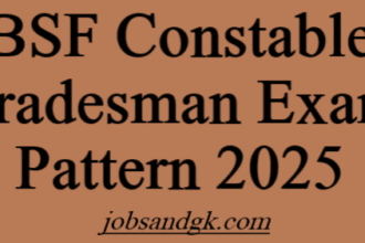 BSF Constable Tradesman Exam Pattern 2025