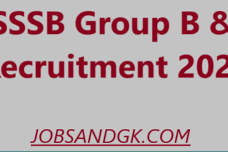 DSSSB Group B & C Recruitment 2025