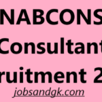 NABCONS Consultant Recruitment 2025