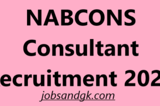 NABCONS Consultant Recruitment 2025