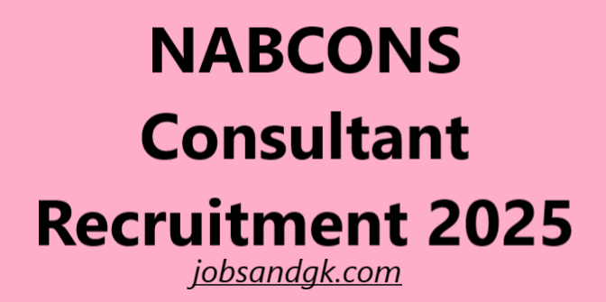 NABCONS Consultant Recruitment 2025