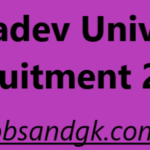 Bhattadev University Recruitment 2025