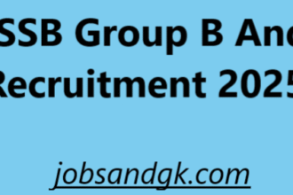 DSSSB Group B And C Recruitment 2025