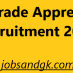 HCL Trade Apprentices Recruitment 2025