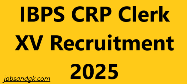 IBPS CRP Clerk XV Recruitment 2025